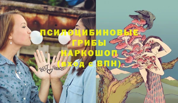 молекула духа Абдулино