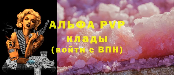 гашик Абаза