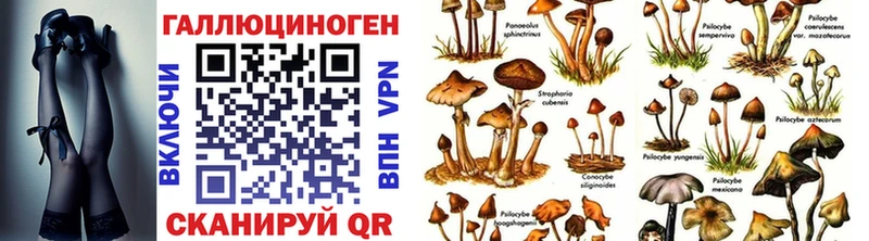 купить наркоту kraken ССЫЛКА Галлюциногенные грибы Psilocybine cubensis Касимов